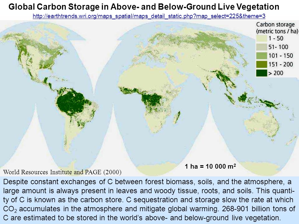 Global Carbon Storage in Above- and Below-Ground Live Vegetation