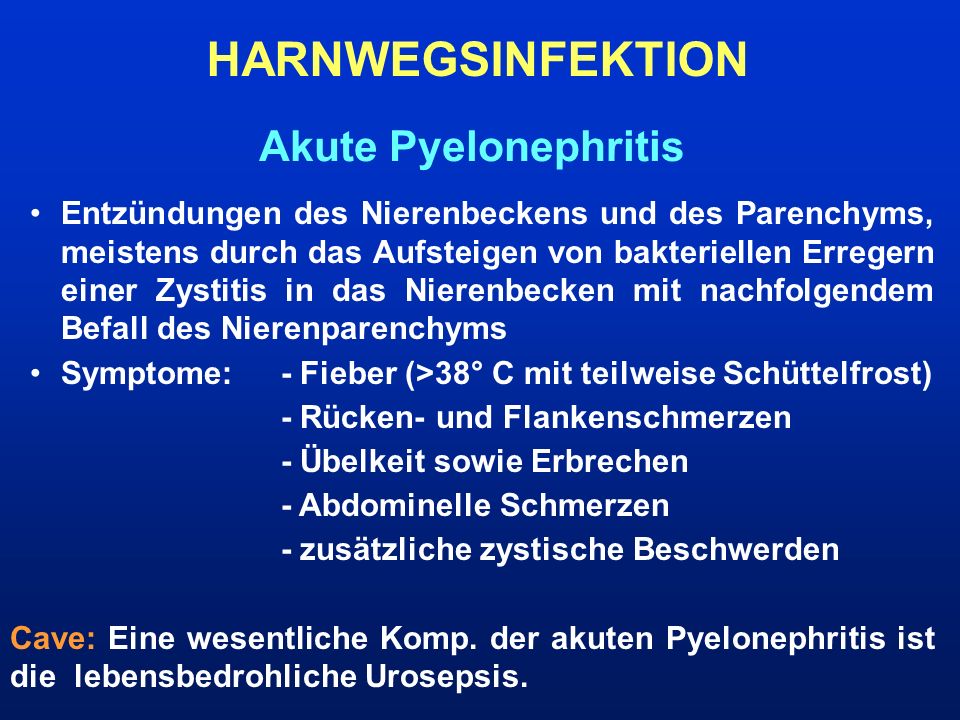 HARNWEGSINFEKTION Akute Pyelonephritis