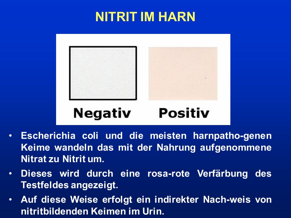 NITRIT IM HARN Escherichia coli und die meisten harnpatho-genen Keime wandeln das mit der Nahrung aufgenommene Nitrat zu Nitrit um.