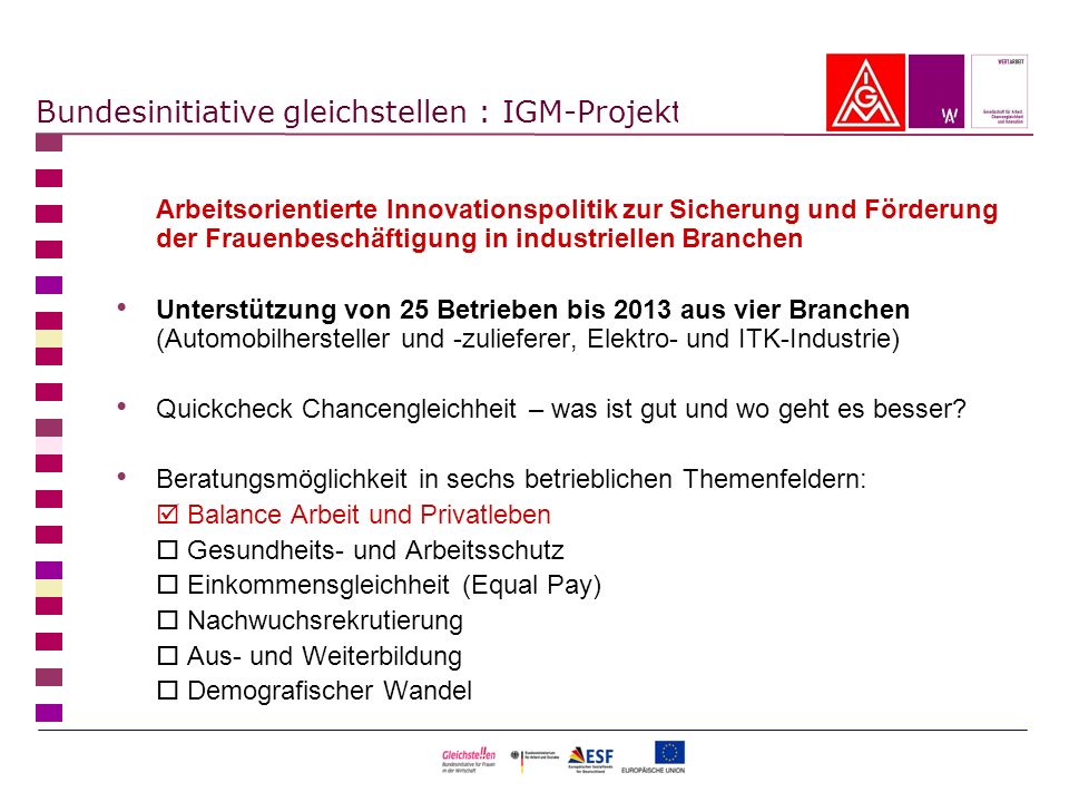 Bundesinitiative gleichstellen : IGM-Projekt