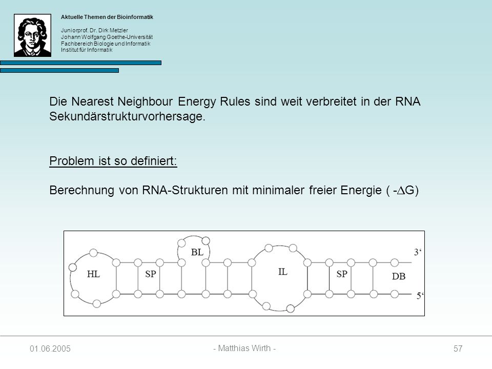 Die Nearest Neighbour Energy Rules sind weit verbreitet in der RNA