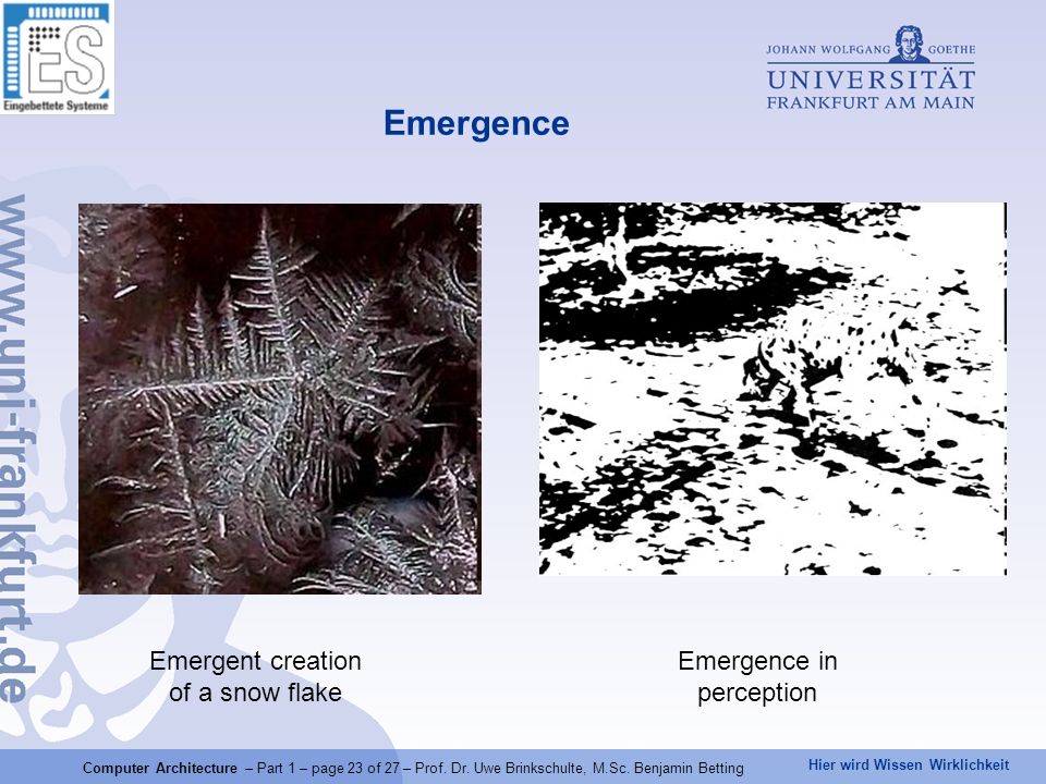 Emergence Emergent creation of a snow flake Emergence in perception
