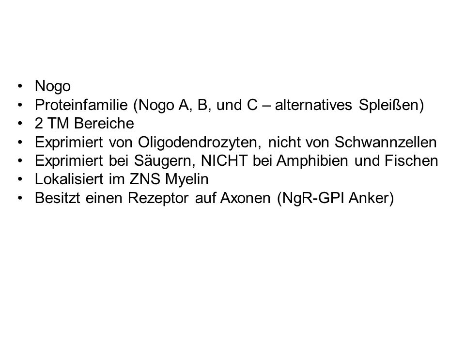 Nogo Proteinfamilie (Nogo A, B, und C – alternatives Spleißen) 2 TM Bereiche. Exprimiert von Oligodendrozyten, nicht von Schwannzellen.