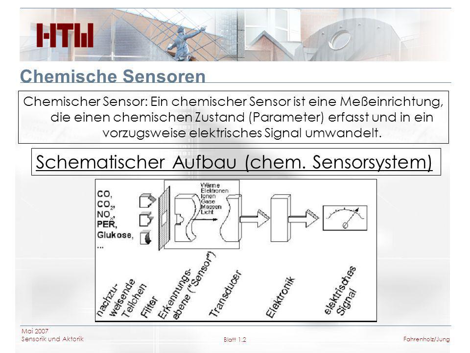 Schematischer Aufbau (chem. Sensorsystem)