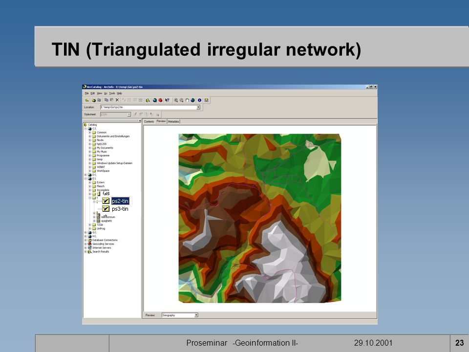 TIN (Triangulated irregular network)