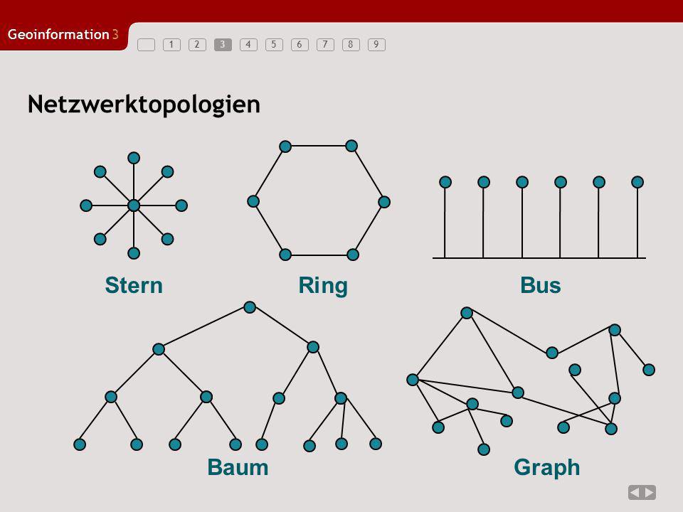 3 Netzwerktopologien Stern Ring Bus Baum Graph