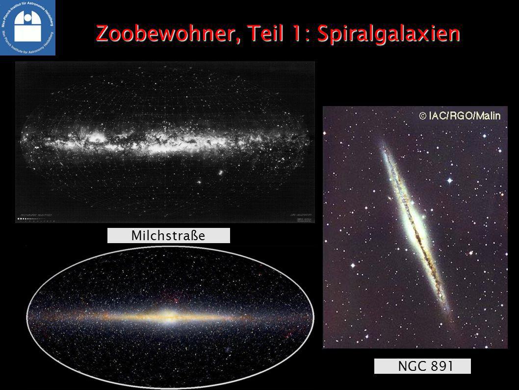 Zoobewohner, Teil 1: Spiralgalaxien