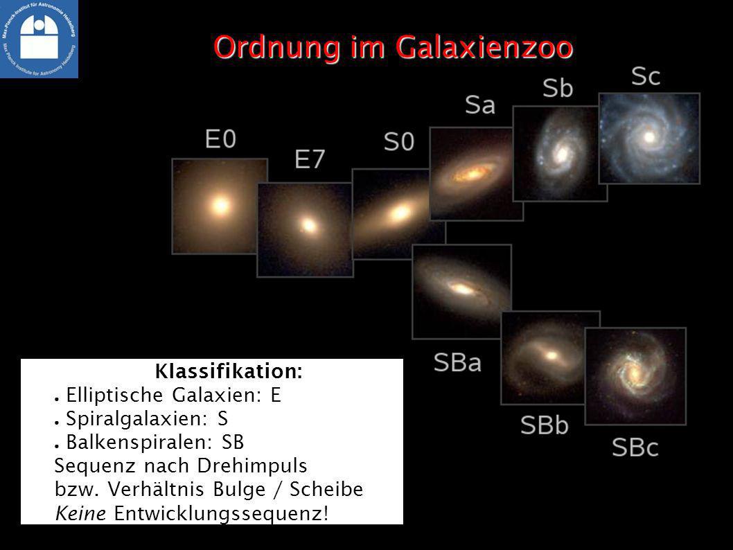 Ordnung im Galaxienzoo