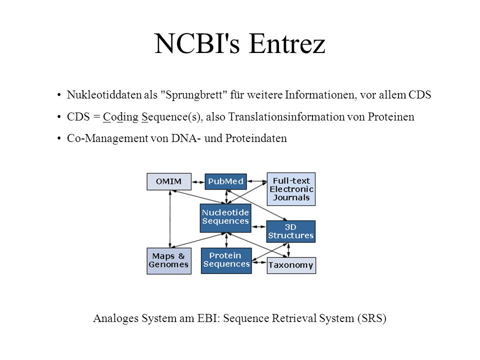 NCBI s Entrez Nukleotiddaten als Sprungbrett für weitere Informationen, vor allem CDS.