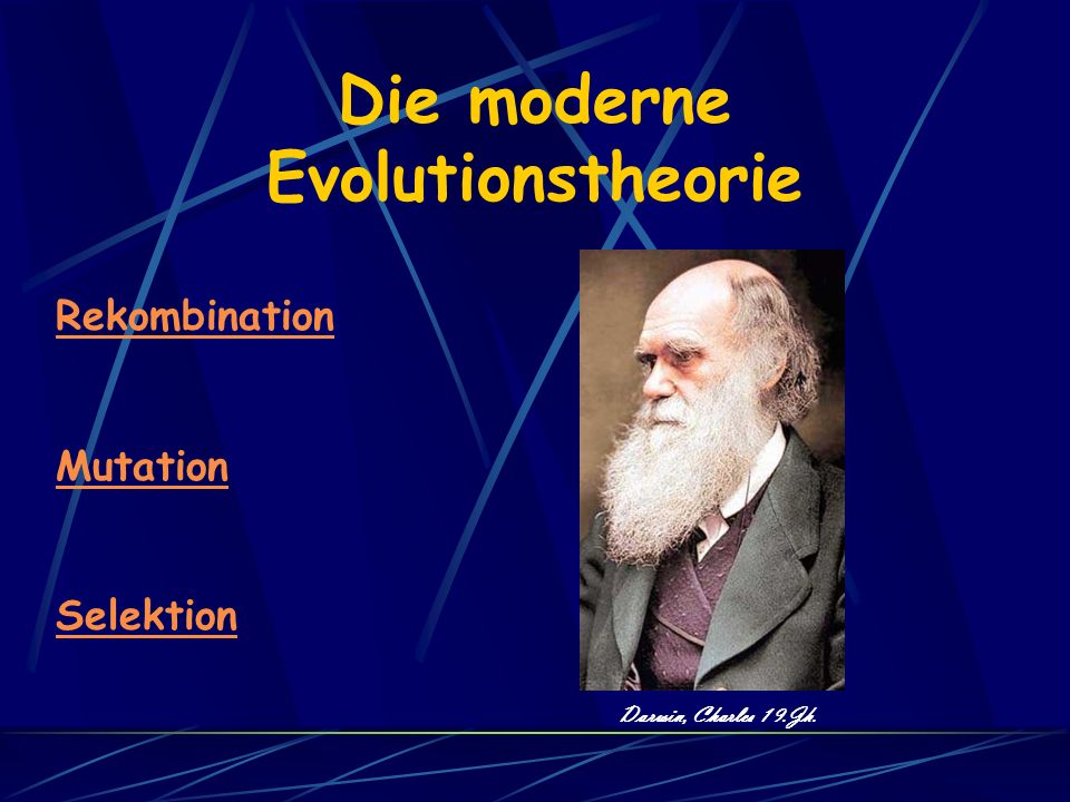 Die moderne Evolutionstheorie