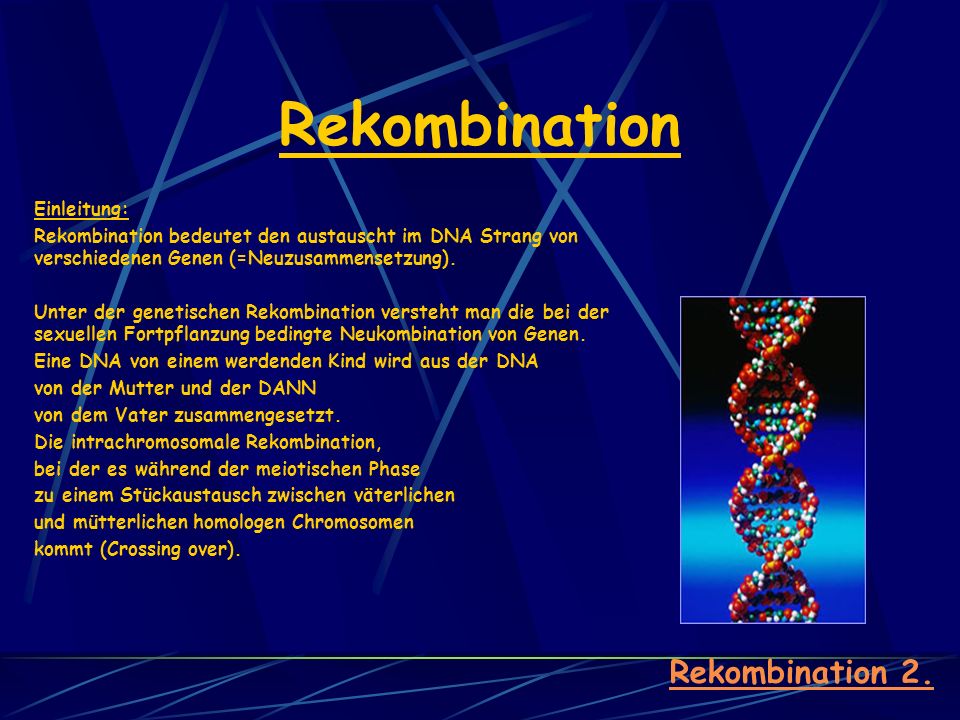 Rekombination Rekombination 2. Einleitung: