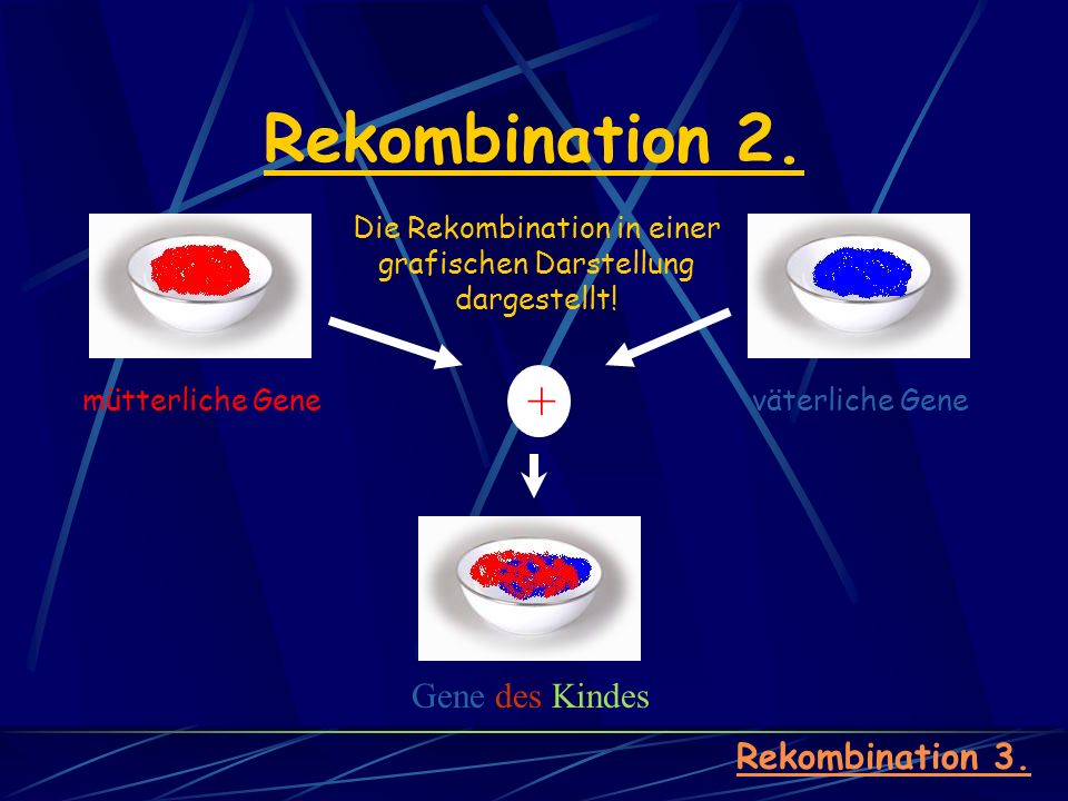 Die Rekombination in einer grafischen Darstellung dargestellt!