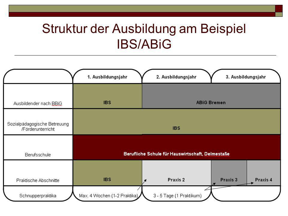 Struktur der Ausbildung am Beispiel IBS/ABiG