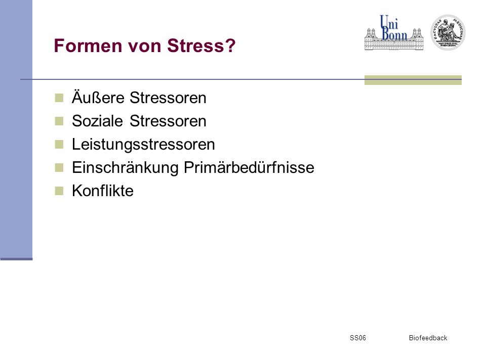 Formen von Stress Äußere Stressoren Soziale Stressoren