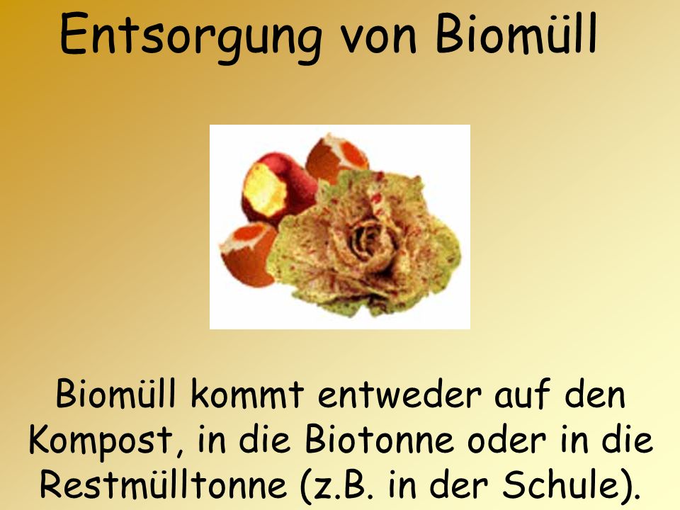 Entsorgung von Biomüll