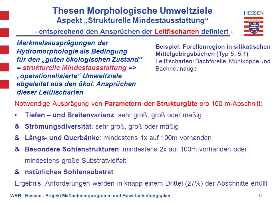 Thesen Morphologische Umweltziele Aspekt „Strukturelle Mindestausstattung - entsprechend den Ansprüchen der Leitfischarten definiert -