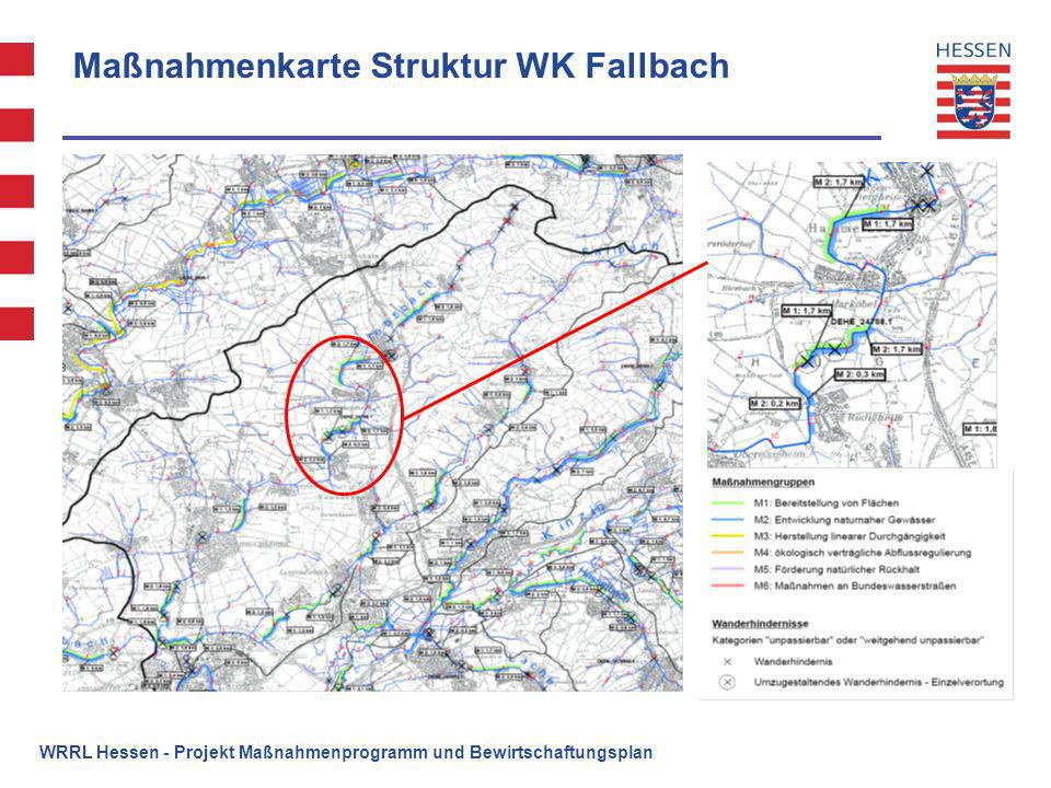 Maßnahmenkarte Struktur WK Fallbach