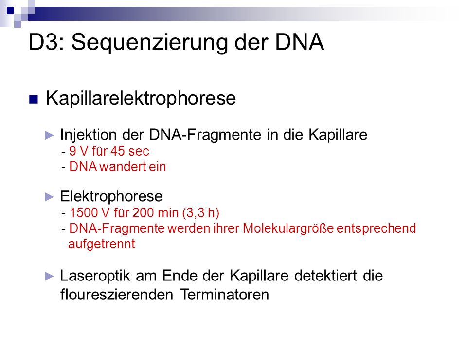 D3: Sequenzierung der DNA