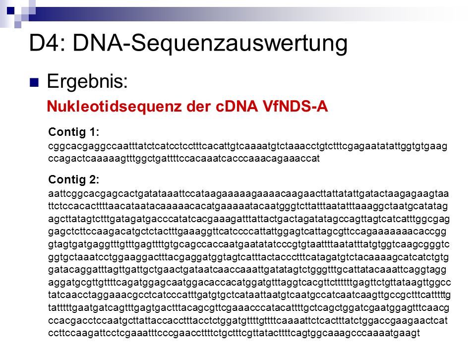 D4: DNA-Sequenzauswertung