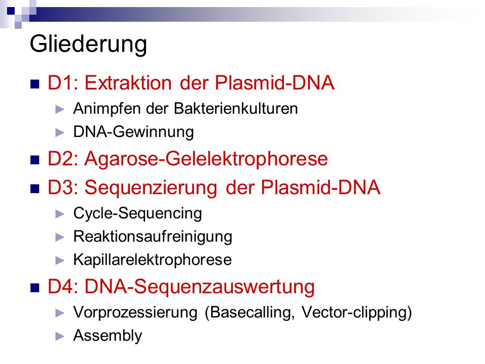 Gliederung D1: Extraktion der Plasmid-DNA