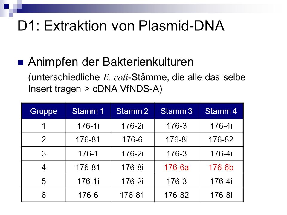 D1: Extraktion von Plasmid-DNA
