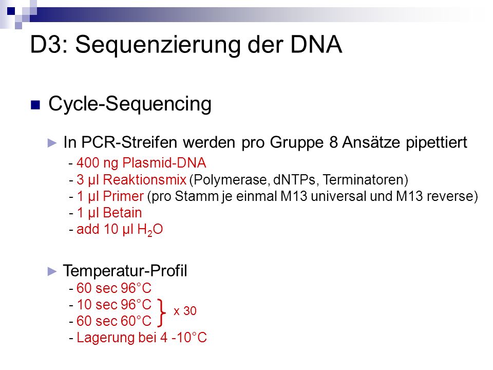 D3: Sequenzierung der DNA