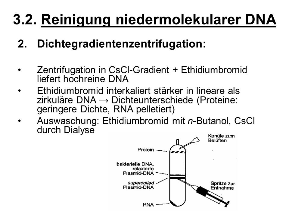 3.2. Reinigung niedermolekularer DNA