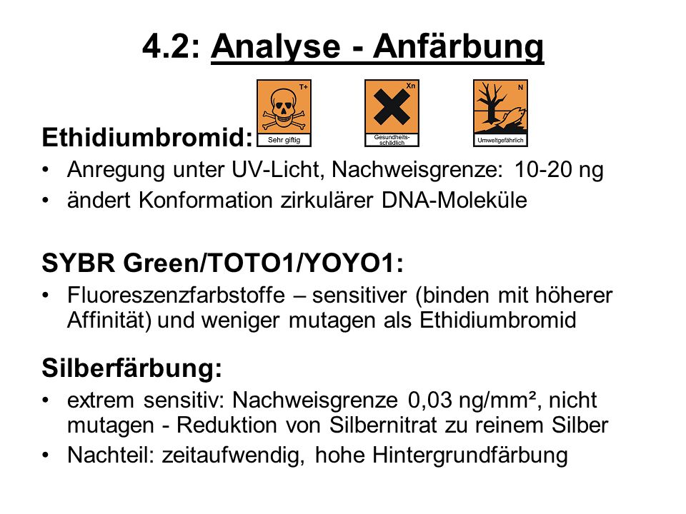 4.2: Analyse - Anfärbung Ethidiumbromid: SYBR Green/TOTO1/YOYO1: