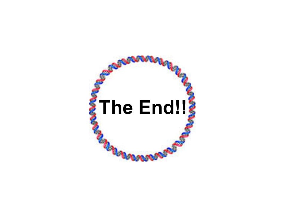 The End!!