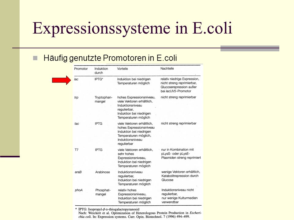 Expressionssysteme in E.coli