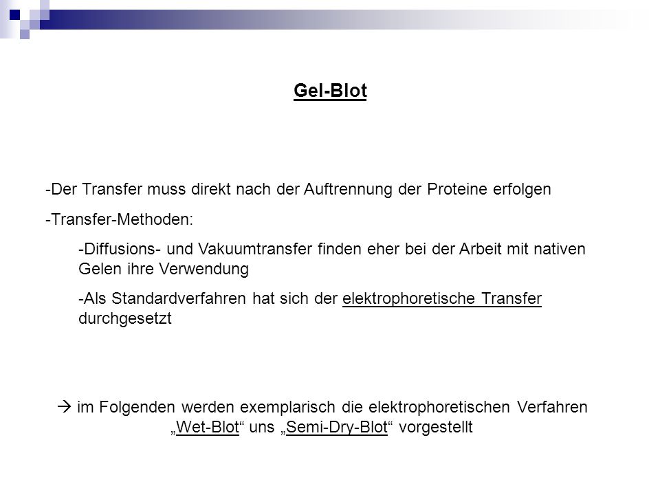 Gel-Blot Der Transfer muss direkt nach der Auftrennung der Proteine erfolgen. Transfer-Methoden: