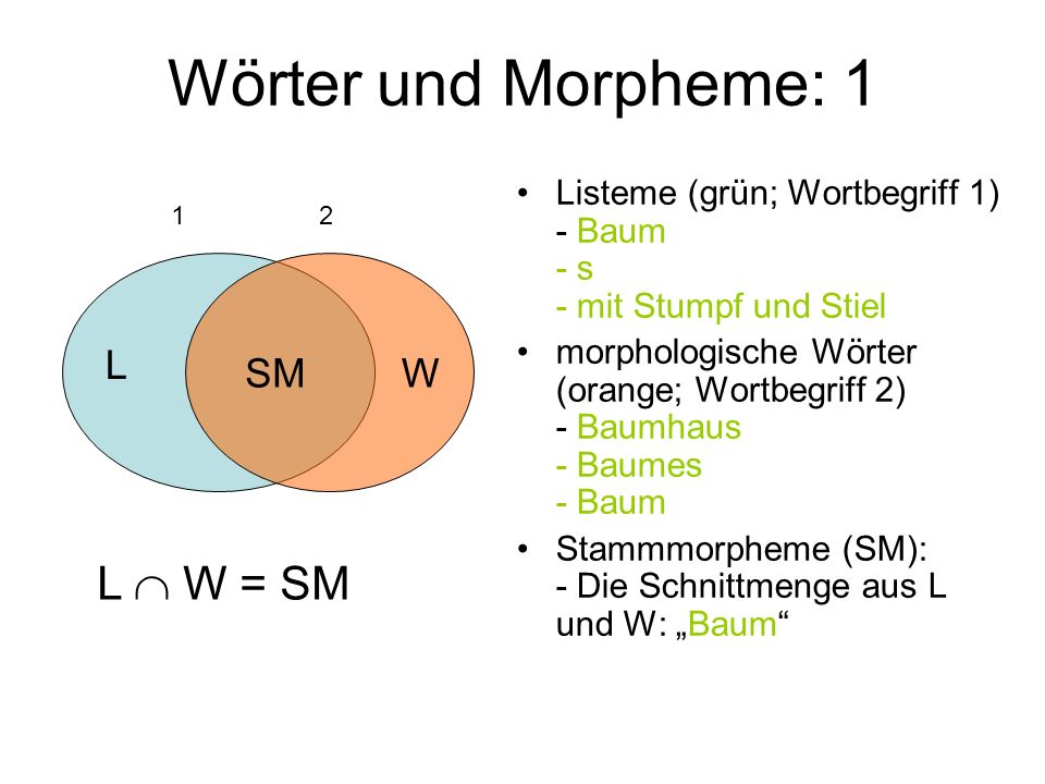 Wörter und Morpheme: 1 L  W = SM L SM W