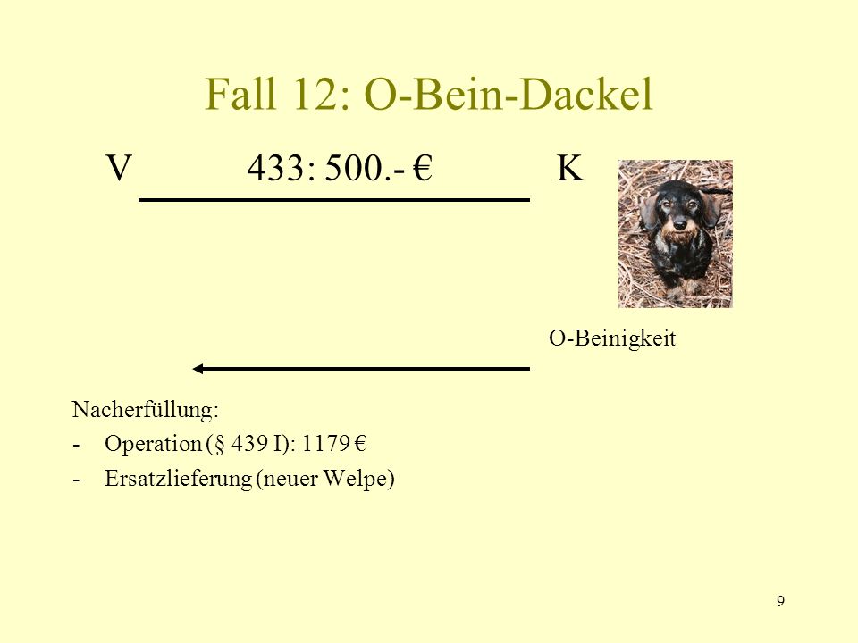 Fall 12: O-Bein-Dackel V 433: € K O-Beinigkeit Nacherfüllung:
