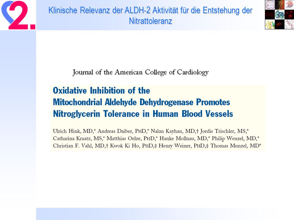 Klinische Relevanz der ALDH-2 Aktivität für die Entstehung der Nitrattoleranz