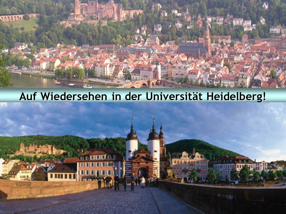 Auf Wiedersehen in der Universität Heidelberg!