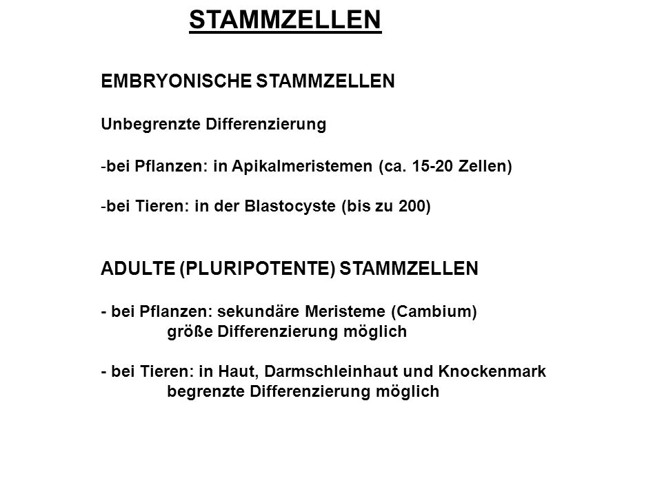 STAMMZELLEN EMBRYONISCHE STAMMZELLEN ADULTE (PLURIPOTENTE) STAMMZELLEN