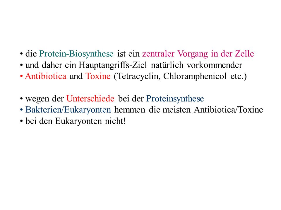 die Protein-Biosynthese ist ein zentraler Vorgang in der Zelle