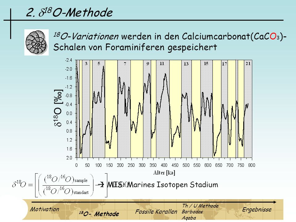 2. d18O-Methode 18O-Variationen werden in den Calciumcarbonat(CaCO3)- Schalen von Foraminiferen gespeichert.