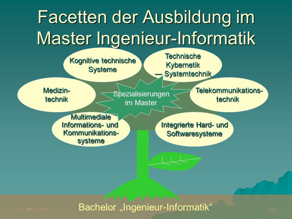 Facetten der Ausbildung im Master Ingenieur-Informatik