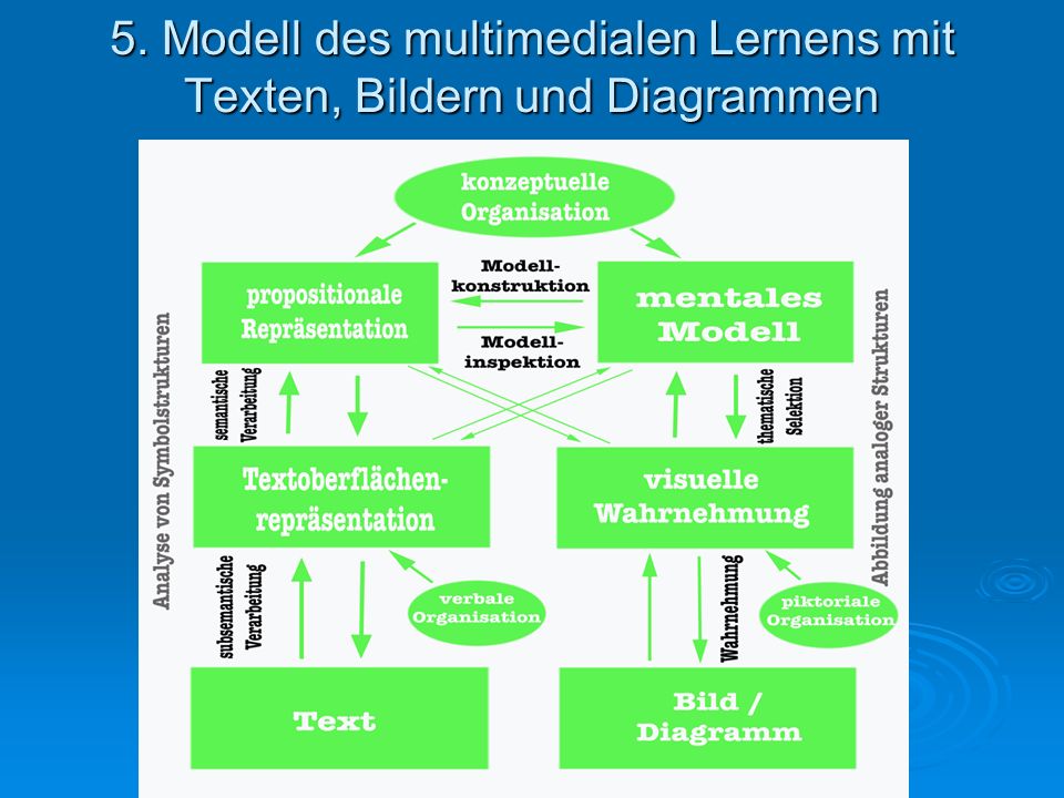 5. Modell des multimedialen Lernens mit Texten, Bildern und Diagrammen