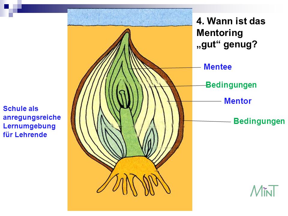 4. Wann ist das Mentoring „gut genug Mentee Bedingungen Mentor