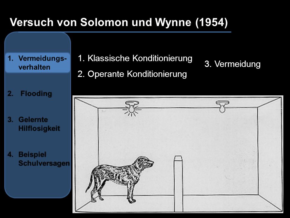 au Versuch von Solomon und Wynne (1954) 1. Klassische Konditionierung