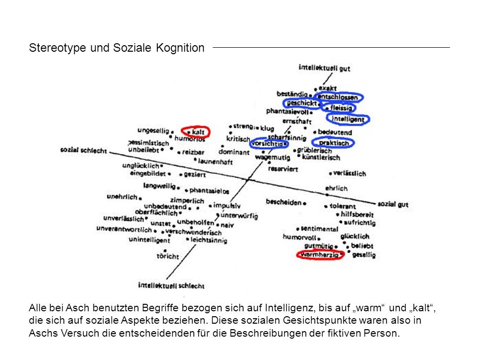 Stereotype und Soziale Kognition