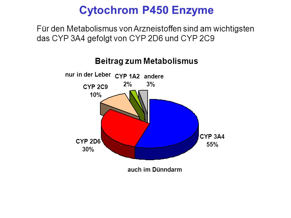 Cytochrom P450 Enzyme Für den Metabolismus von Arzneistoffen sind am wichtigsten das CYP 3A4 gefolgt von CYP 2D6 und CYP 2C9.