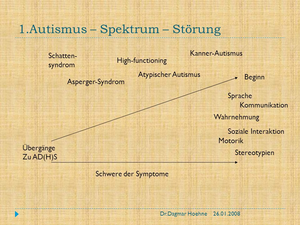 1.Autismus – Spektrum – Störung