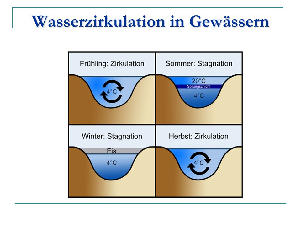 Wasserzirkulation in Gewässern