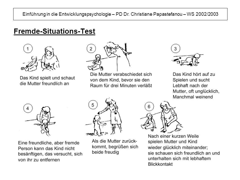 Fremde-Situations-Test