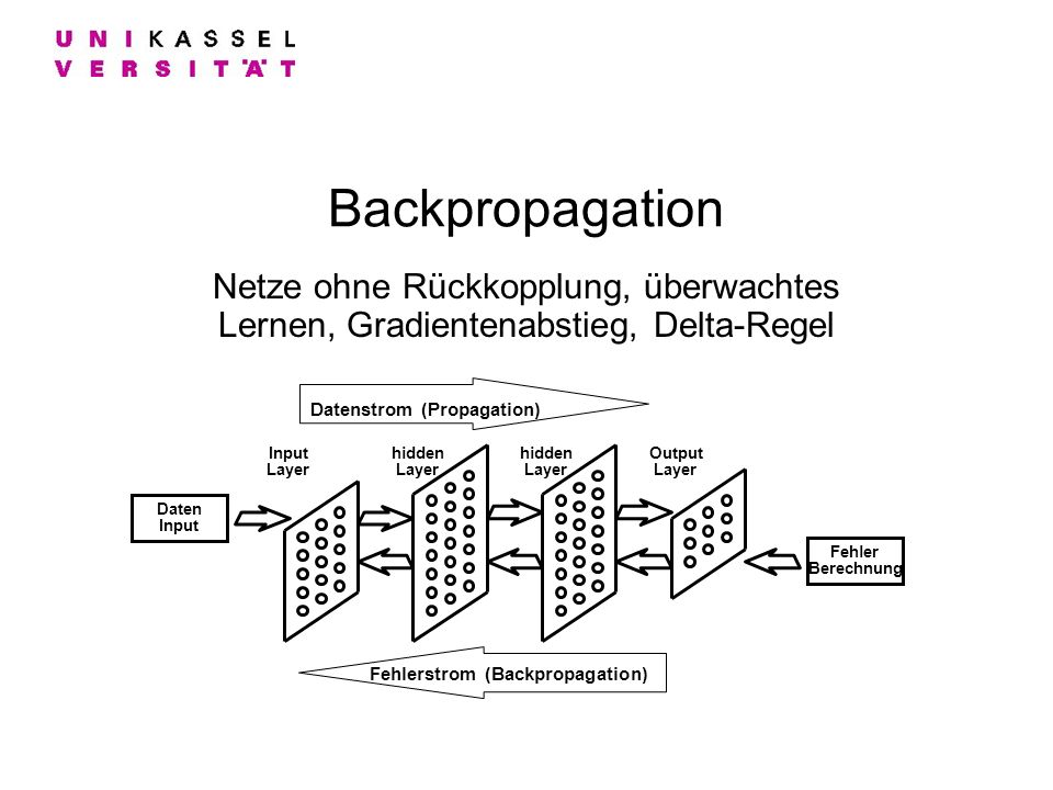 Datenstrom (Propagation) Fehlerstrom (Backpropagation)