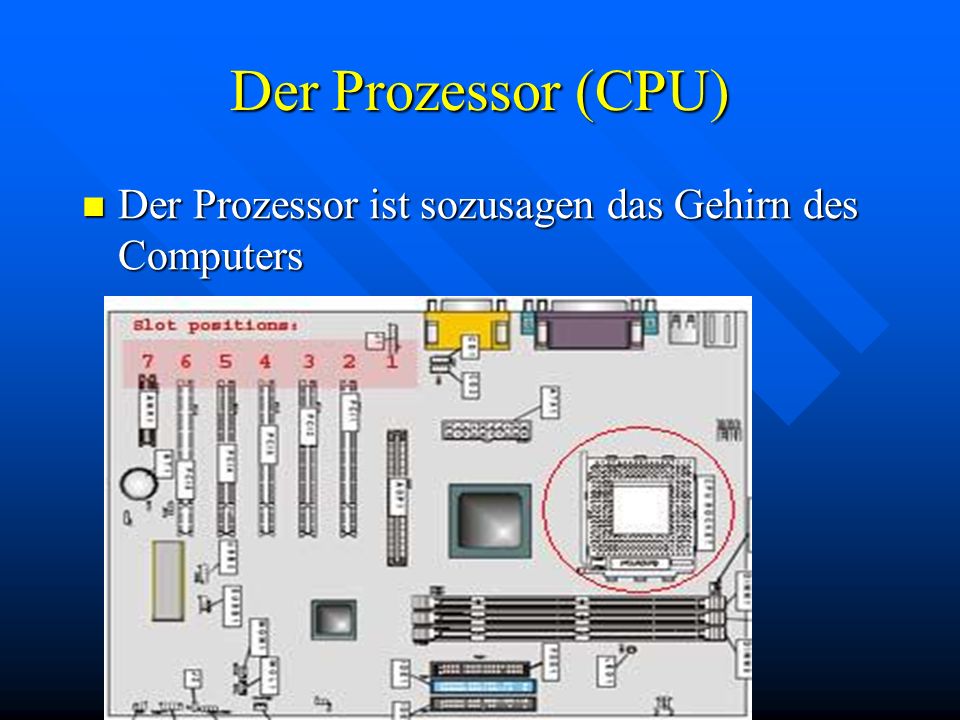 Der Prozessor (CPU) Der Prozessor ist sozusagen das Gehirn des Computers
