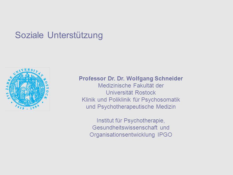 Professor Dr. Dr. Wolfgang Schneider